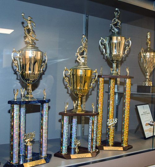 Photo: Sports trophies in trophy case